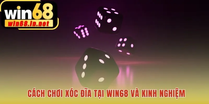 Tổng hợp các mẹo chơi Xóc Đĩa từ những người chơi lão làng