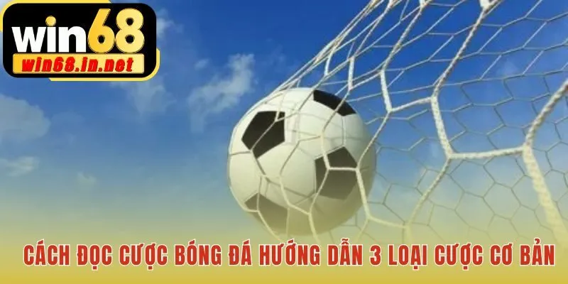 Đọc cược giúp hiểu rõ ba loại kèo phổ biến nhất