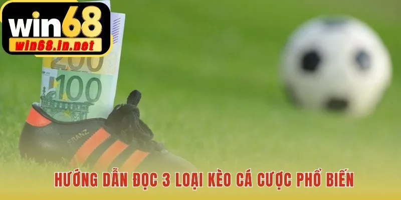 Đọc hiểu ba loại kèo là nền tảng cá cược bóng đá hiệu quả