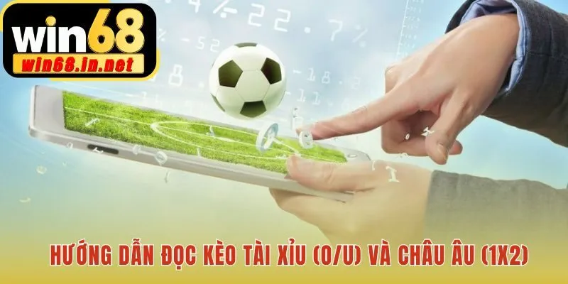 Cách đọc kèo Tài Xỉu và Châu Âu cho người mới bắt đầu