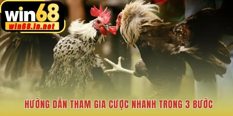 Quy trình cược đơn giản chỉ với ba bước đăng nhập và chọn kèo