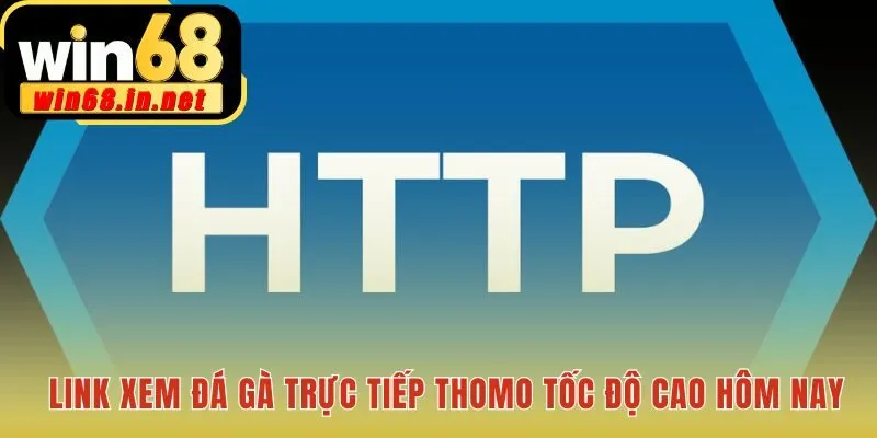 Link xem đá gà trực tiếp độc quyền từ hai trường gà Thomo